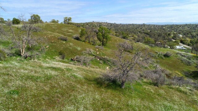 32604 Rd 600, Raymond, CA 93653 - photo 3