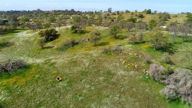 32604 Rd 600, Raymond, CA 93653 - photo 4