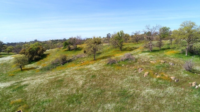 32604 Rd 600, Raymond, CA 93653 - photo 7