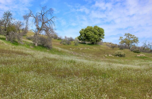 32604 Rd 600, Raymond, CA 93653 - photo 2