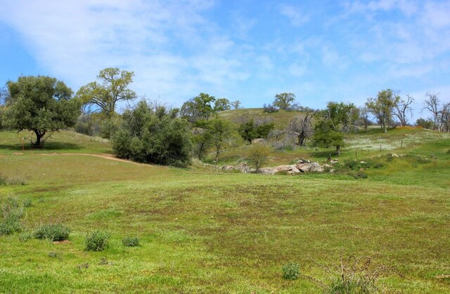 32604 Rd 600, Raymond, CA 93653 - photo 1