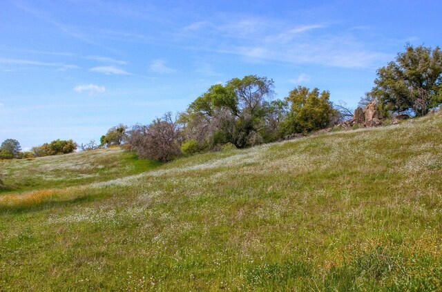 32604 Rd 600, Raymond, CA 93653 - photo 10