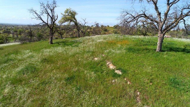 32604 Rd 600, Raymond, CA 93653 - photo 12