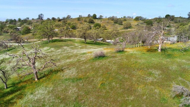 32604 Rd 600, Raymond, CA 93653 - photo 8