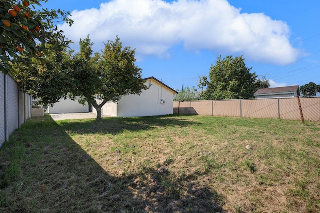 2452 Knowles St, Selma, CA 93662 - photo 24