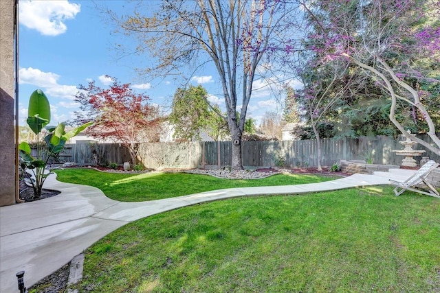 view of yard featuring a fenced backyard
