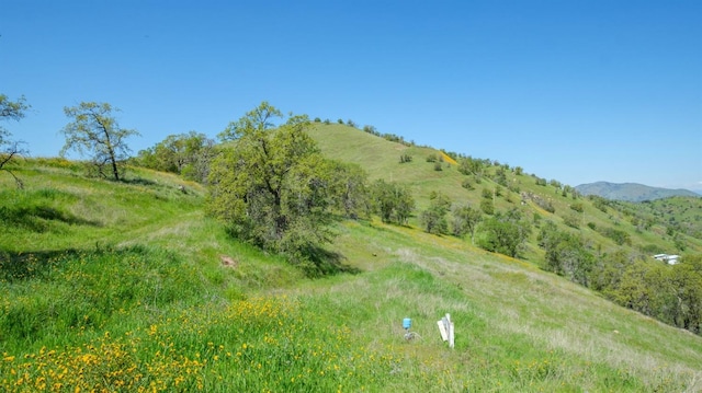 0 George Smith Rd, Yokuts Valley, CA 93675 - photo 3