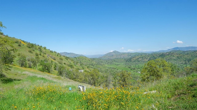 0 George Smith Rd, Yokuts Valley, CA 93675 - photo 2