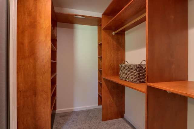 walk in closet with light carpet
