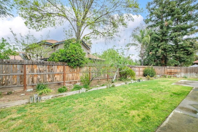 view of yard featuring a fenced backyard
