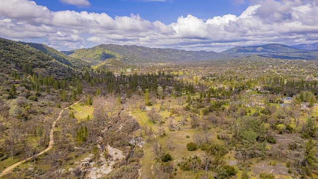 mountain view with a forest view