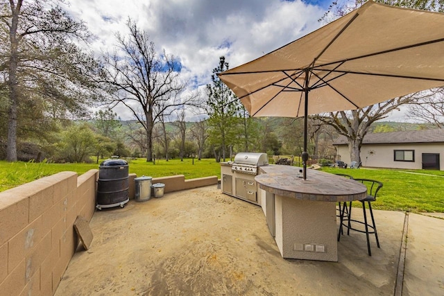 view of patio with grilling area and area for grilling