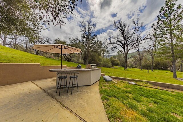 view of community with outdoor dry bar, a patio area, and a yard