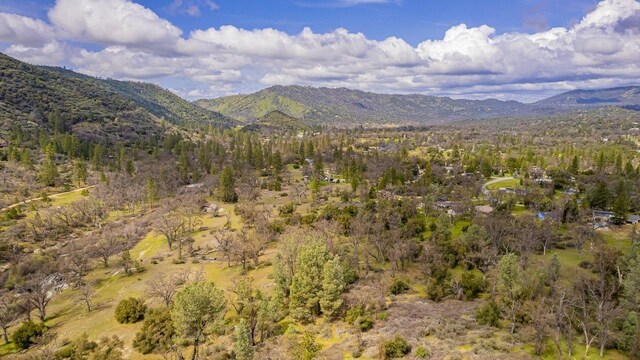 property view of mountains featuring a forest view