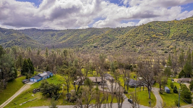 bird's eye view with a mountain view and a view of trees