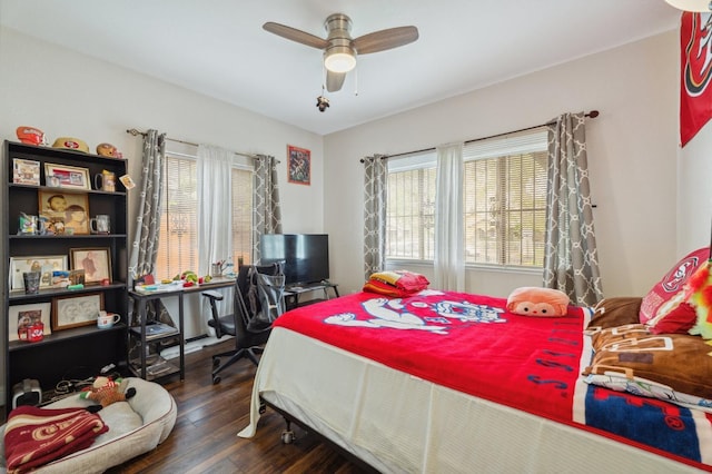 3154 E Montecito Ave, Fresno, CA 93702 - bedroom featuring multiple windows, dark wood-style flooring, and a ceiling fan
