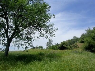 0 Aunt Julia, Auberry, CA 93602 - photo 17