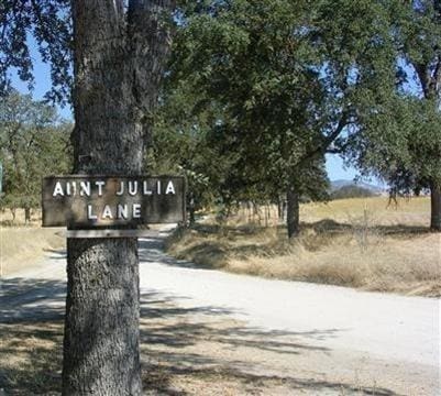 0 Aunt Julia, Auberry, CA 93602 - photo 15