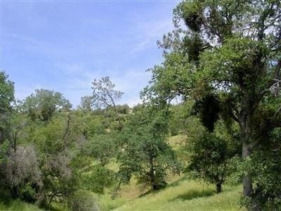 0 Aunt Julia, Auberry, CA 93602 - photo 16