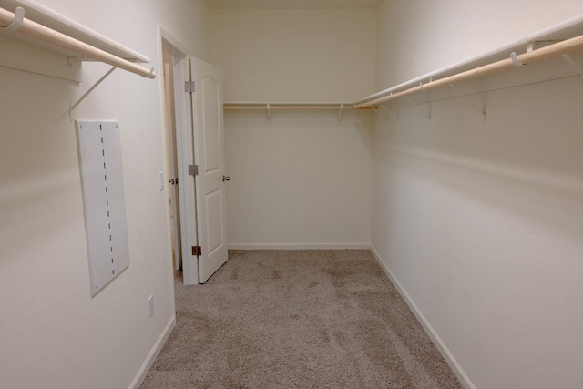 spacious closet featuring carpet flooring and electric panel