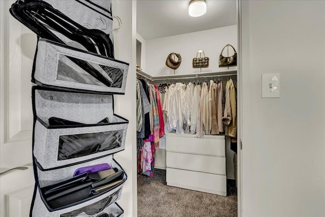 walk in closet with carpet flooring