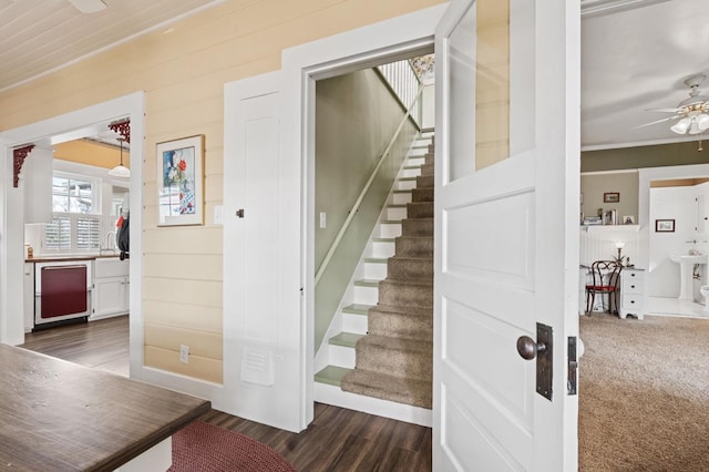 stairway with carpet floors, ceiling fan, and wood finished floors