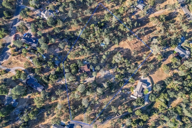 42197 Wild Stallion Way, Coarsegold, CA 93614 - photo 71