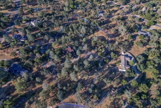 42197 Wild Stallion Way, Coarsegold, CA 93614 - photo 72