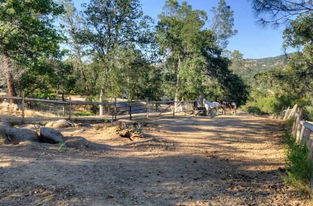 42197 Wild Stallion Way, Coarsegold, CA 93614 - photo 65