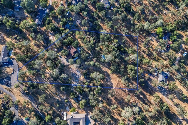 42197 Wild Stallion Way, Coarsegold, CA 93614 - photo 70