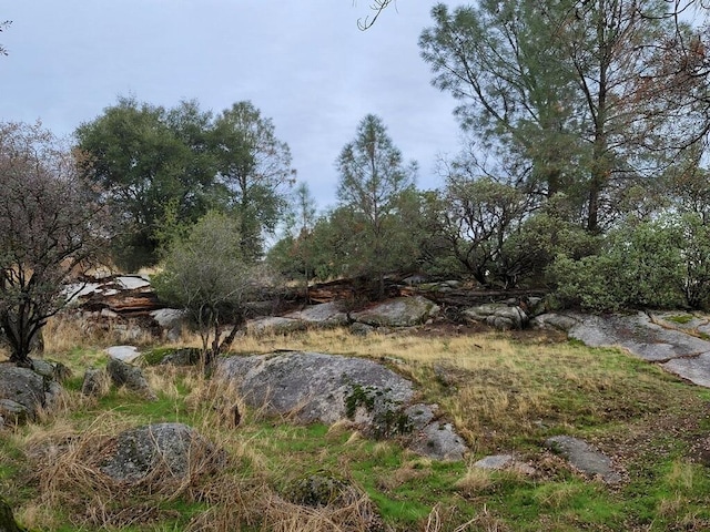 42197 Wild Stallion Way, Coarsegold, CA 93614 - photo 66