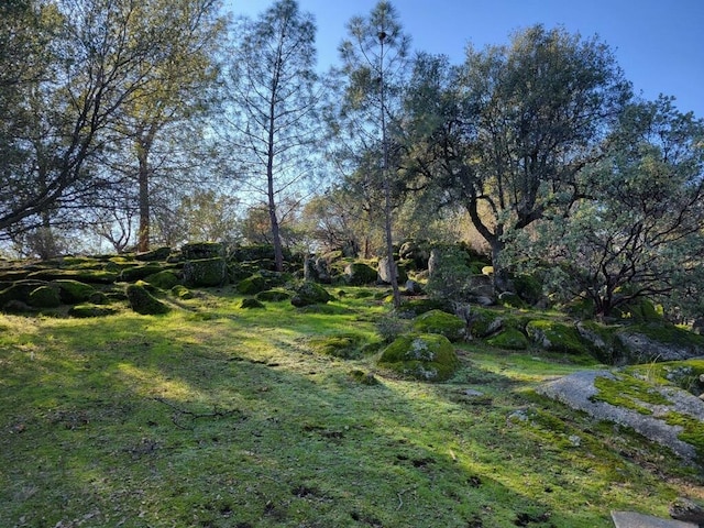 42197 Wild Stallion Way, Coarsegold, CA 93614 - photo 68