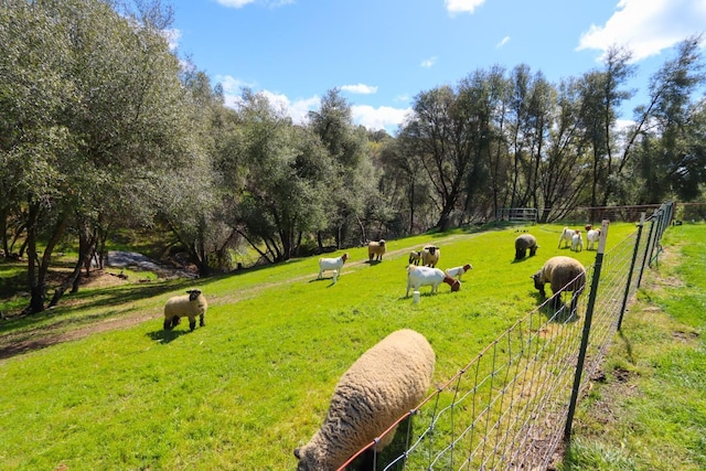 view of community featuring a lawn, fence, and a rural view