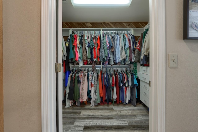 walk in closet featuring wood finished floors