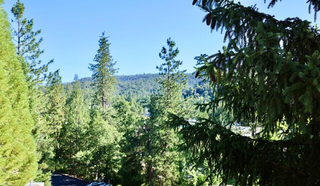 40547 Saddleback Rd, Bass Lake, CA 93604 - mountain view with a forest view