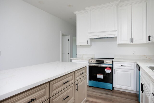 590 Lincoln Ave Unit 101, Dinuba, CA 93618 - kitchen with appliances with stainless steel finishes, under cabinet range hood, light wood-style flooring, white cabinetry, and light stone countertops