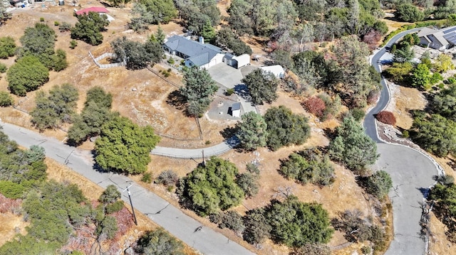 33867 Jennifer Ct, Coarsegold, CA 93614 - photo 36