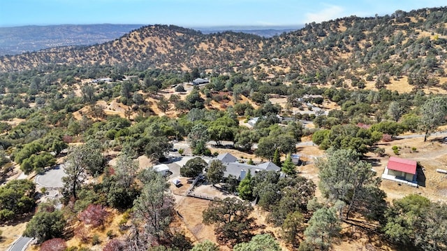 33867 Jennifer Ct, Coarsegold, CA 93614 - photo 42