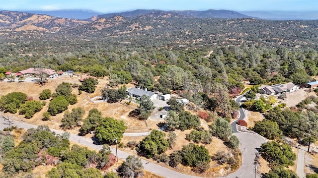 33867 Jennifer Ct, Coarsegold, CA 93614 - photo 37