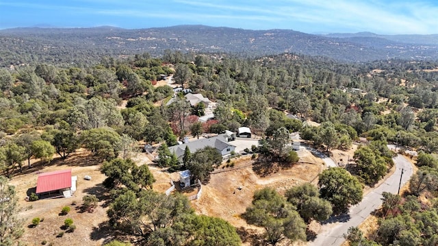 33867 Jennifer Ct, Coarsegold, CA 93614 - photo 35
