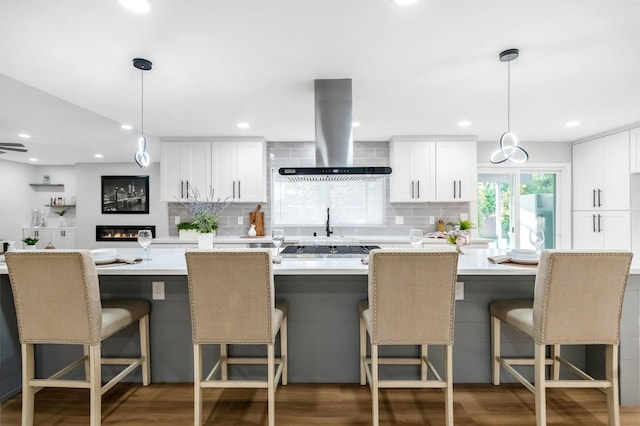 kitchen featuring decorative backsplash, exhaust hood, and wood finished floors