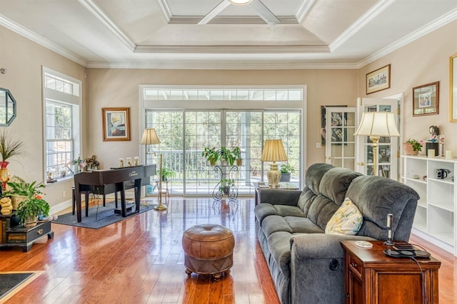 49521 Stillmeadow Dr, Oakhurst, CA 93644 - living area with ornamental molding, wood-type flooring, baseboards, and a raised ceiling