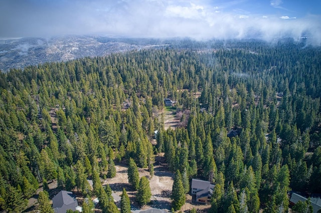 32 Mountain Heather, Shaver Lake, CA 93664