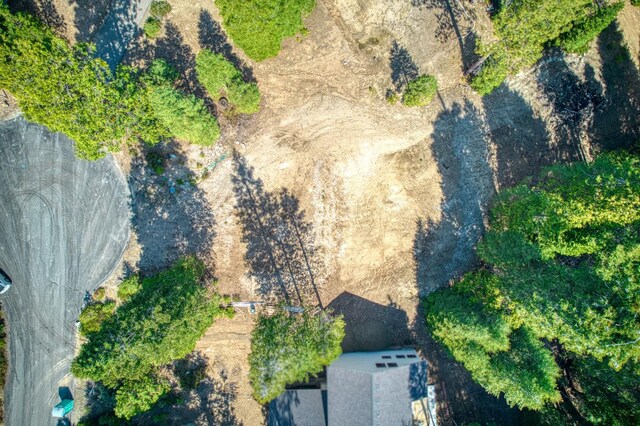 32 Mountain Heather, Shaver Lake, CA 93664