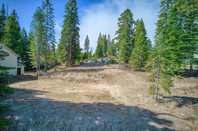 32 Mountain Heather, Shaver Lake, CA 93664