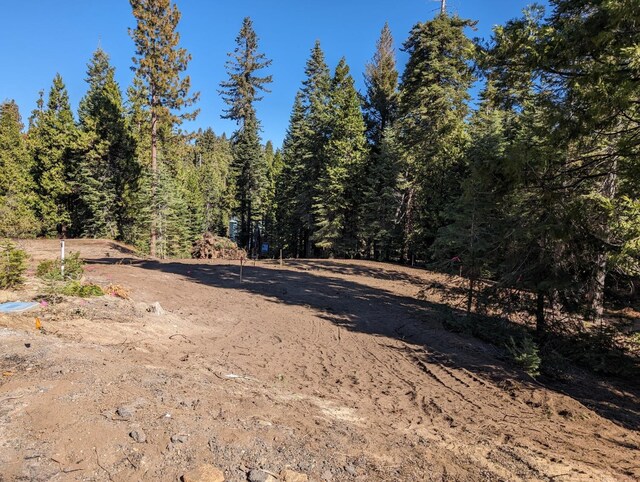 32 Mountain Heather, Shaver Lake, CA 93664