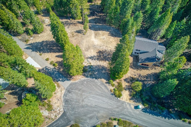 32 Mountain Heather, Shaver Lake, CA 93664
