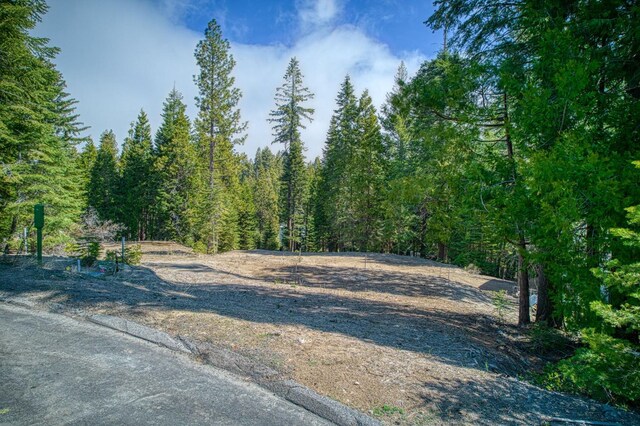 32 Mountain Heather, Shaver Lake, CA 93664