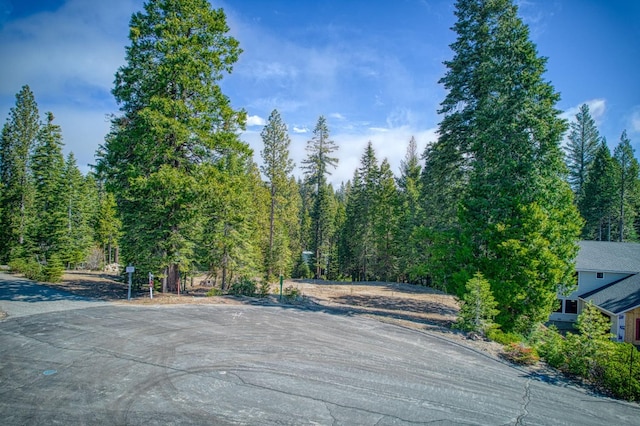 32 Mountain Heather, Shaver Lake, CA 93664