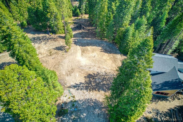 32 Mountain Heather, Shaver Lake, CA 93664